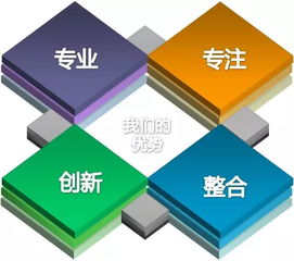 专注车.只为你
