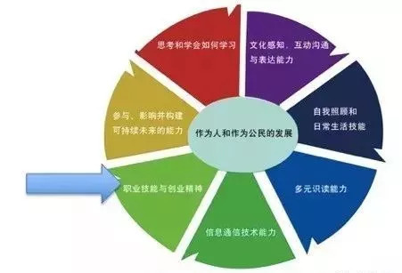 芬兰孩子从小知道自己要什么,与学校开设这门必修课有关