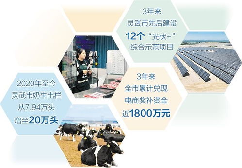 宁夏灵武产业发展活力足
